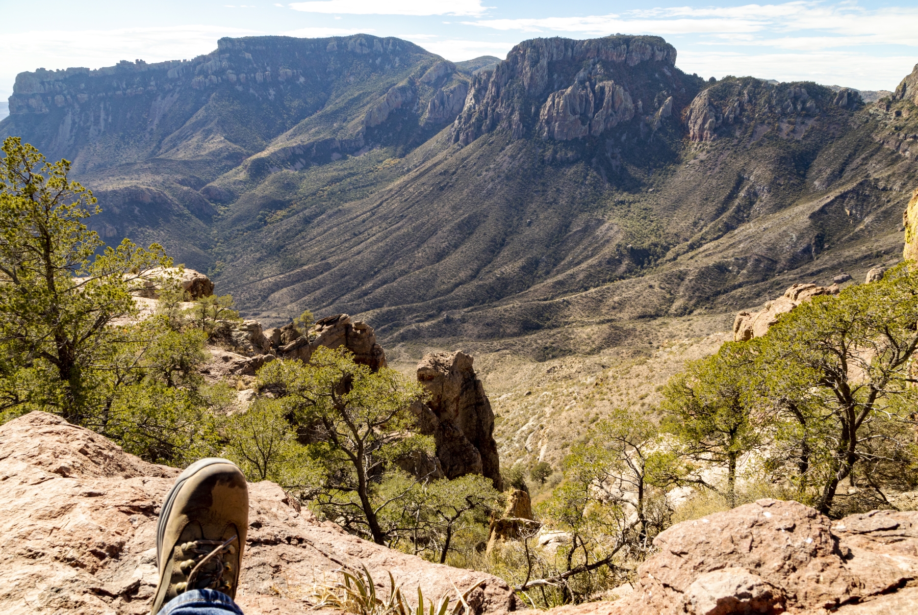 /gallery/north_america/USA/Texas/big bend np/Lost Mine Trail Big Bend Dec 2020-001_med.jpg